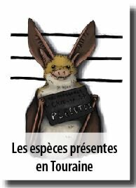 © Lucie Jamelin/Delphine Dion vig_esp