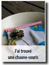 © Marianne Gouel vig_trou