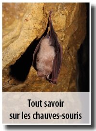 © Maël Dugué vig_ttsav